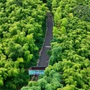 下渚湖·湿地公园-湿地迷宫区 - 湖州市旅游 缩略图 8