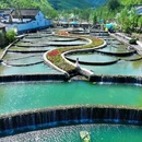 窑湖小镇 - 无锡市旅游 缩略图 5