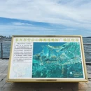 竹山景区 - 防城港市旅游 缩略图 6