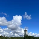 嘉荫恐龙国家地质公园 - 伊春市旅游 缩略图 4