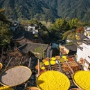篁岭景区 - 上饶市旅游 缩略图 7