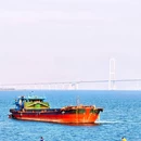 二十涌 - 广州市旅游 缩略图 1