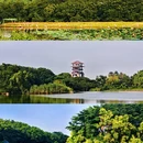二十涌 - 广州市旅游 缩略图 8