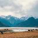 然乌湖风景区 - 昌都市旅游 缩略图 5