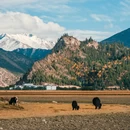 然乌湖风景区 - 昌都市旅游 缩略图 6