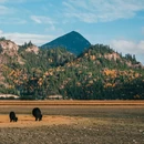 然乌湖风景区 - 昌都市旅游 缩略图 9