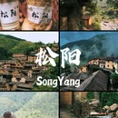 松阳大木山骑行茶园景区 - 丽水市旅游 缩略图 1