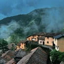 松阳大木山骑行茶园景区 - 丽水市旅游 缩略图 2