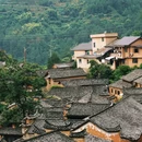 松阳大木山骑行茶园景区 - 丽水市旅游 缩略图 6