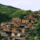 松阳大木山骑行茶园景区 - 丽水市旅游 缩略图 7