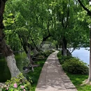 南湖景区 - 嘉兴市旅游 缩略图 3