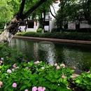 南湖景区 - 嘉兴市旅游 缩略图 6