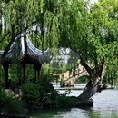 南湖景区 - 嘉兴市旅游 缩略图 8