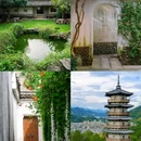 浙江新昌十九峰景区 - 绍兴市旅游 缩略图 3