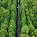 金湖水上森林景区 - 淮安市旅游 缩略图 5
