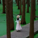 金湖水上森林景区 - 淮安市旅游 缩略图 6