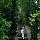 太阳山森林公园云麓七里游步道 - 长沙市旅游 缩略图 1
