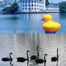 流花湖公园 - 广州市旅游 缩略图 5