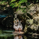 兰亭风景区 - 绍兴市旅游 缩略图 3