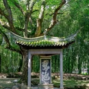 兰亭风景区 - 绍兴市旅游 缩略图 1