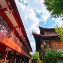 淄博柏悦酒店(山东理工大学张店区政府店) - 淄博市旅游 缩略图 4
