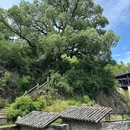 四季逸境酒店(金华高铁站银泰城店) - 金华市旅游 缩略图 8