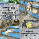 南沙游艇会 - 广州市旅游 缩略图 3