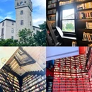 南沙游艇会 - 广州市旅游 缩略图 6