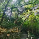 国清景区 - 台州市旅游 缩略图 7