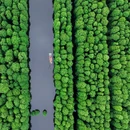 金湖水上森林景区 - 淮安市旅游 缩略图 3