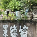 景德镇柒竹·风过耳美术馆酒店(三宝蓬艺术聚落店) - 景德镇市旅游 缩略图 8
