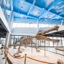 紫清湖野生动物世界 - 南京市旅游 缩略图 4