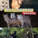 汤山紫清湖生态旅游温泉度假区 - 南京市旅游 缩略图 1
