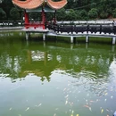 白莲河斗方山风景区 - 黄冈市旅游 缩略图 8