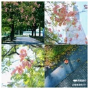 西湖文化广场 - 杭州市旅游 缩略图 1