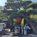 镰仓市 - 日本旅游 缩略图 9