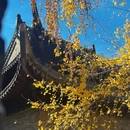 扬州八怪纪念馆 - 扬州市旅游 缩略图 5