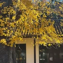扬州八怪纪念馆 - 扬州市旅游 缩略图 7