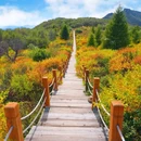百花山国家级自然保护区 - 北京市旅游 缩略图 1