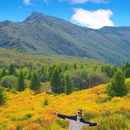 百花山国家级自然保护区 - 北京市旅游 缩略图 2