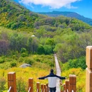 百花山国家级自然保护区 - 北京市旅游 缩略图 9