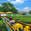 海上云台山风景区 - 连云港市旅游 缩略图 5