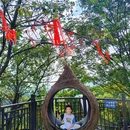 回龙山景区 - 长沙市旅游 缩略图 5