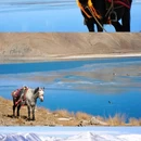羊卓雍措 - 山南市旅游 缩略图 7