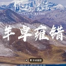 羊卓雍措 - 山南市旅游 缩略图 1