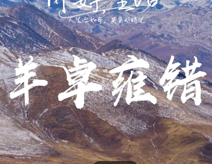 羊卓雍措 - 山南市旅游 1
