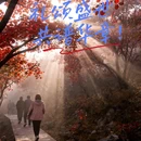 7天优品Premium酒店(许昌禹州汽车站胖东来店) - 许昌市旅游 缩略图 3