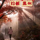 7天优品Premium酒店(许昌禹州汽车站胖东来店) - 许昌市旅游 缩略图 8