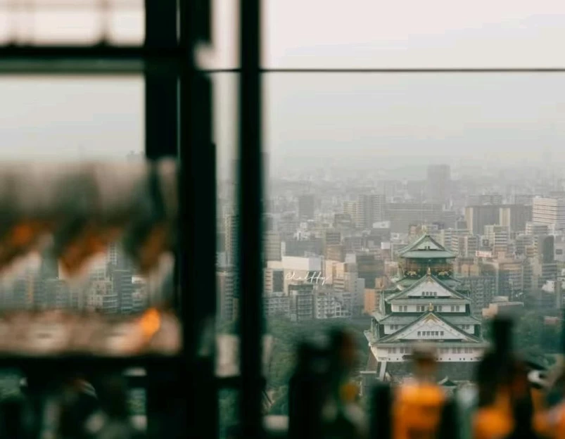 大阪 - 日本旅游 1