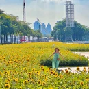 海心沙亚运公园 - 广州市旅游 缩略图 5